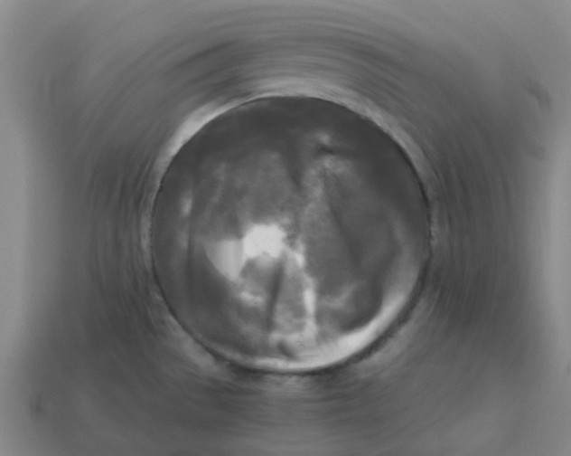 X0000113251529200910081308