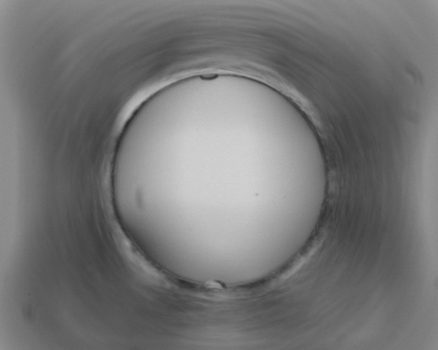 X0000113251530200910081308