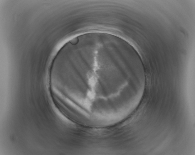 X0000113251531200910081308