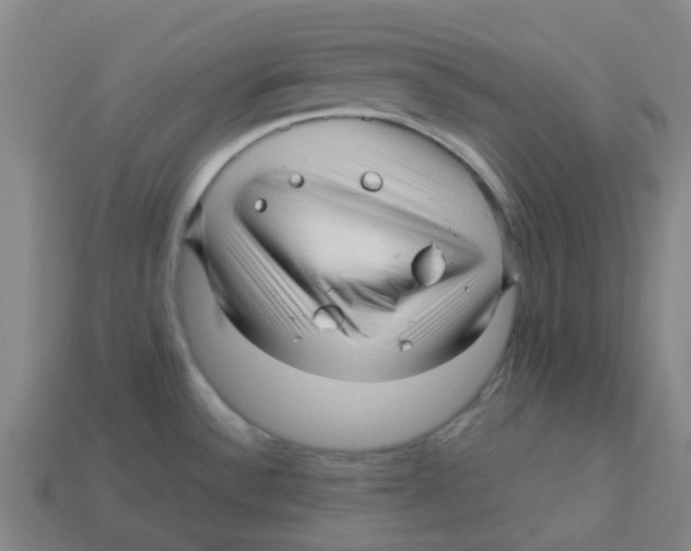 X0000113251532200910081308