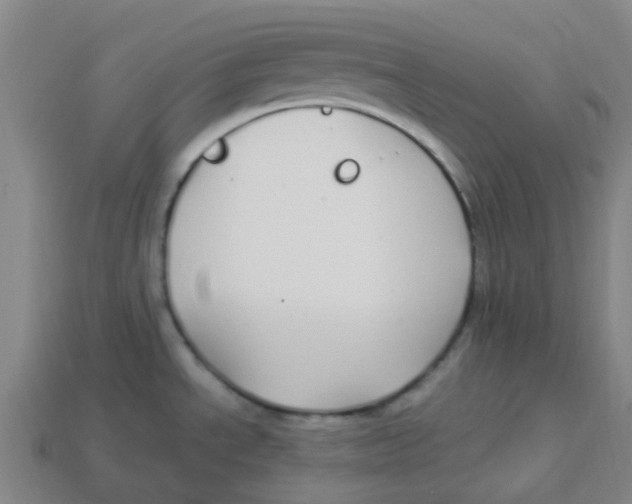 X0000113251534200910081308