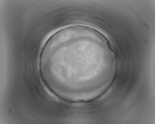 X0000113251535200910081308