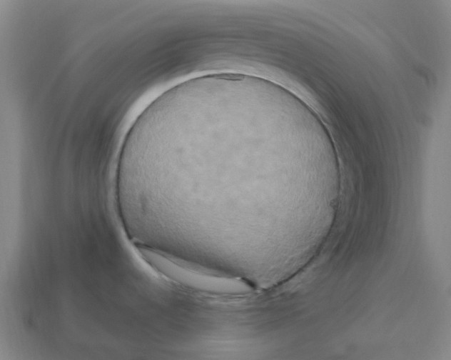 X0000113251536200910081308