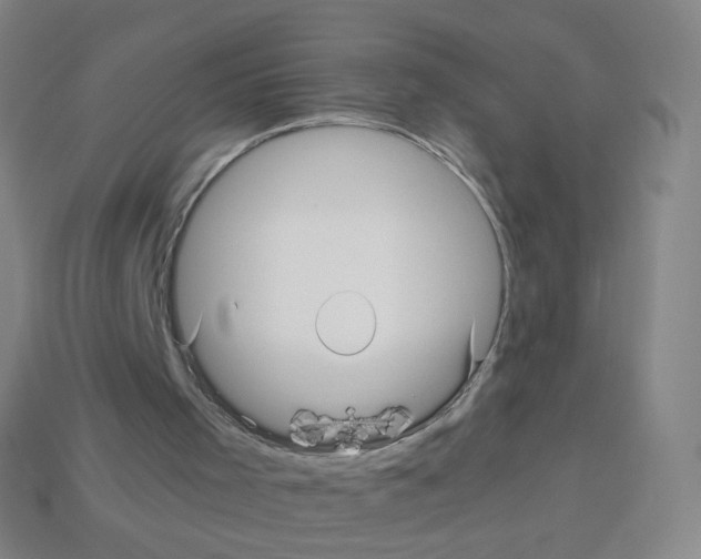 X0000113250001200910221131