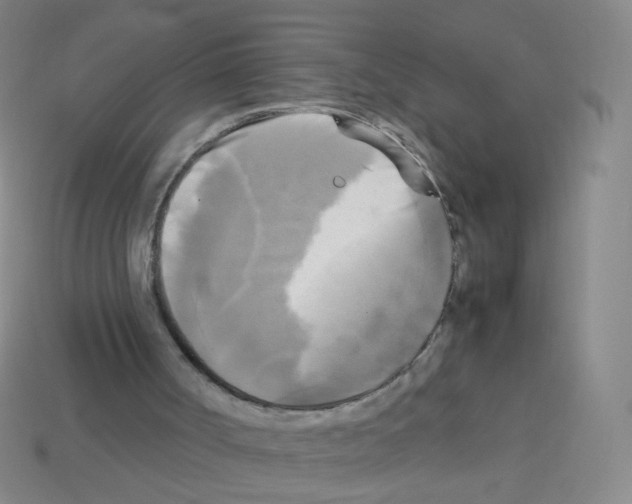 X0000113250002200910221131