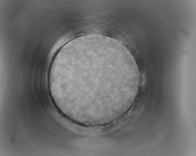 X0000113250004200910221131