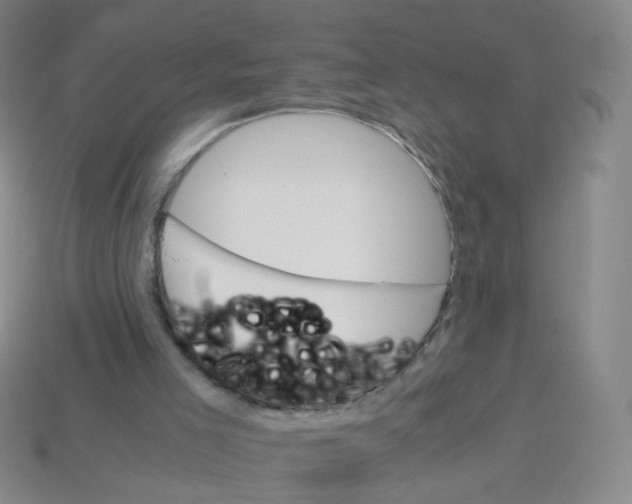 X0000113250005200910221131