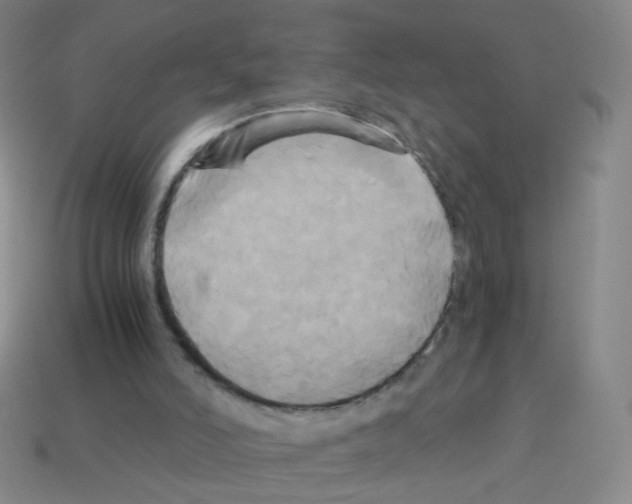 X0000113250006200910221131