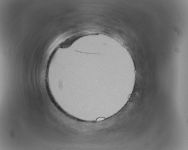 X0000113250007200910221131