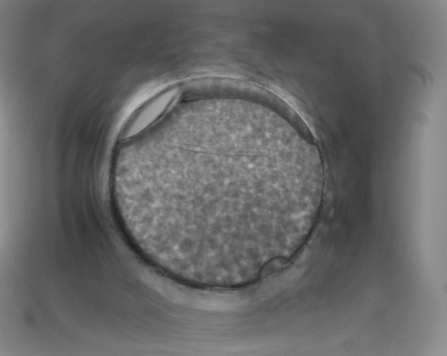 X0000113250008200910221131