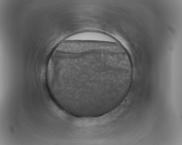 X0000113250009200910221131