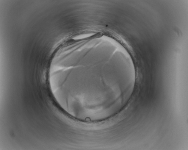 X0000113250010200910221130