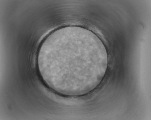 X0000113250012200910221130