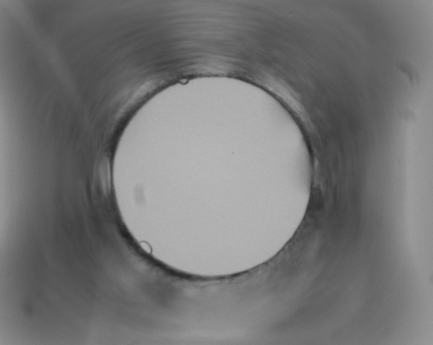 X0000113250013200910221130