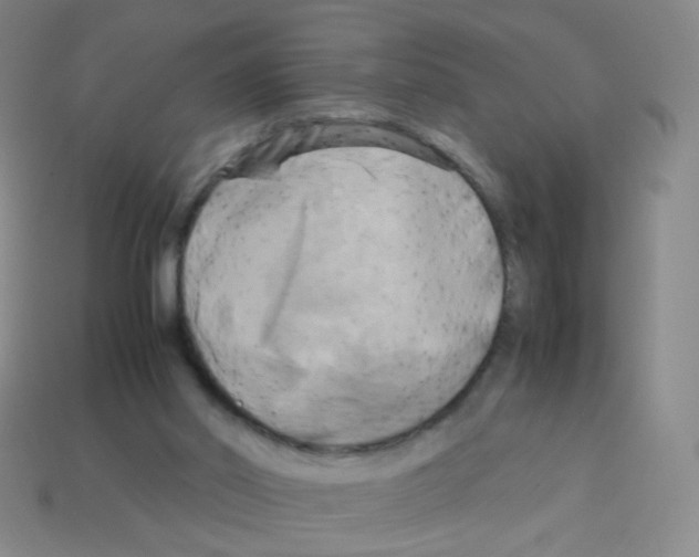 X0000113250014200910221130