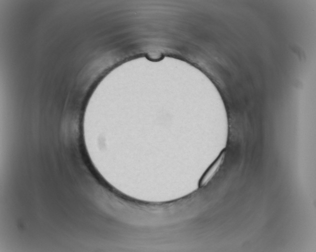 X0000113250015200910221130