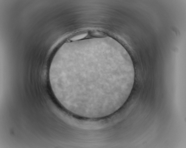 X0000113250016200910221130