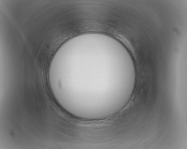 X0000113250017200910221130