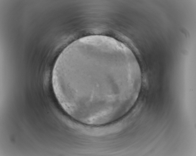 X0000113250018200910221130