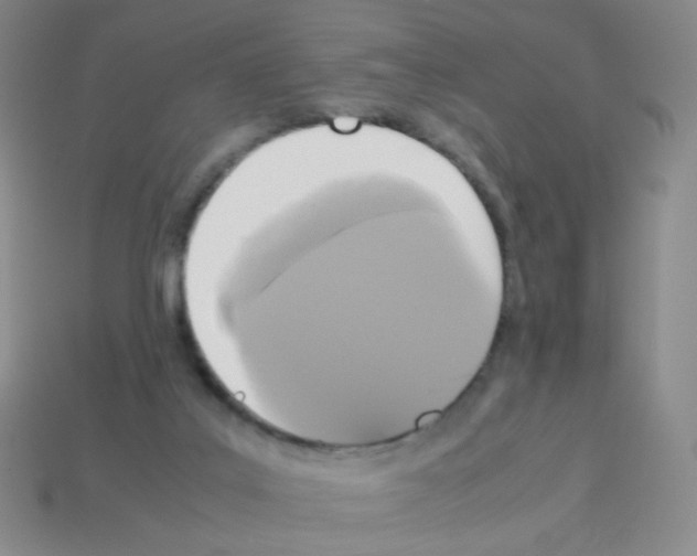 X0000113250019200910221130