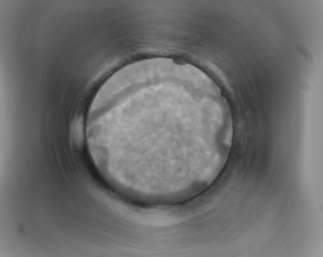 X0000113250020200910221130