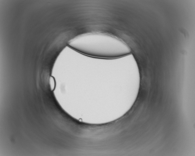 X0000113250021200910221130