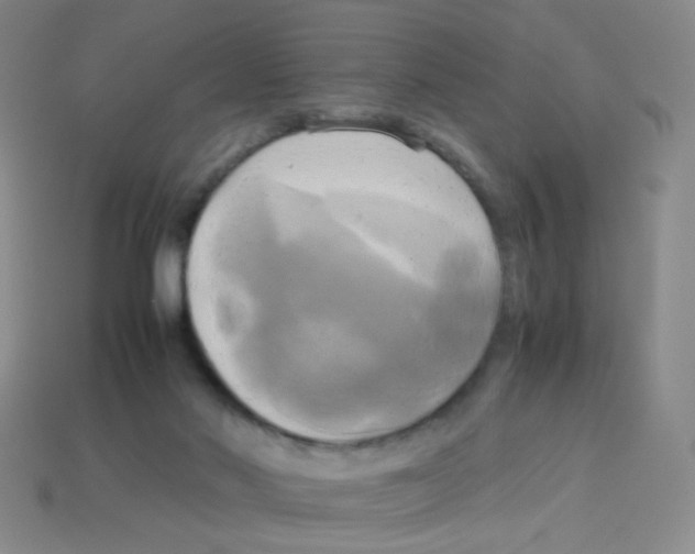 X0000113250022200910221130