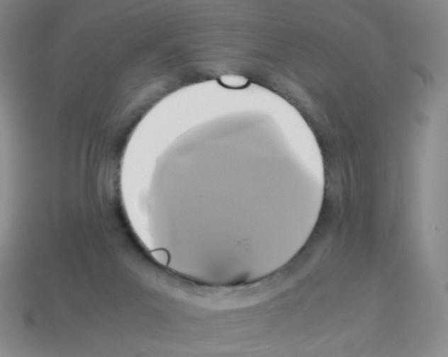 X0000113250023200910221130