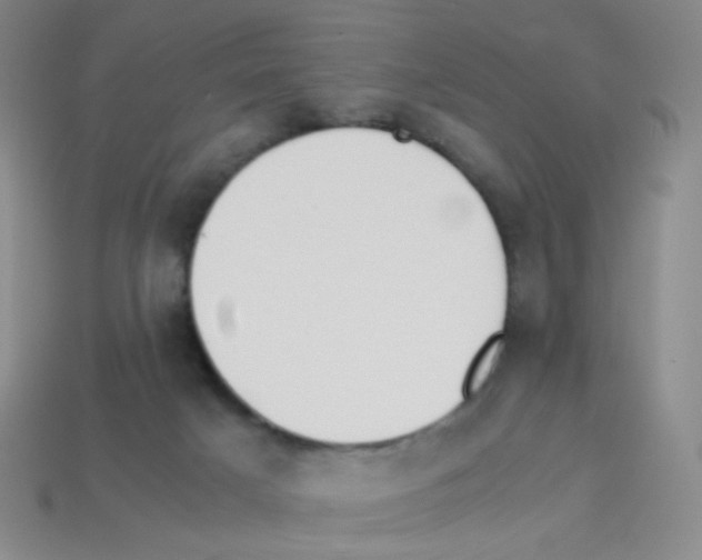 X0000113250025200910221130