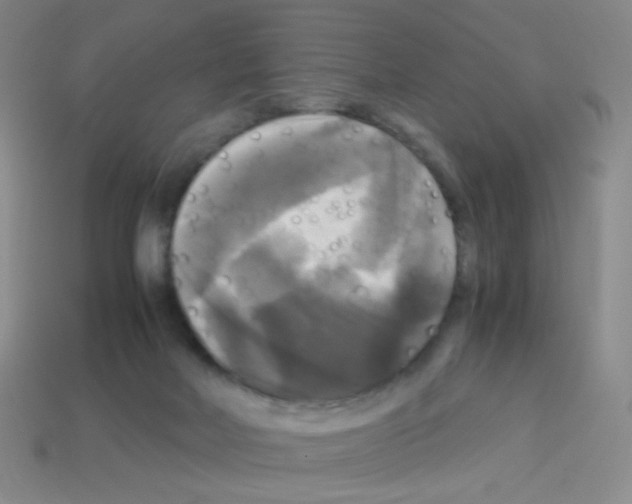 X0000113250026200910221130