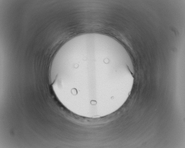 X0000113250027200910221130