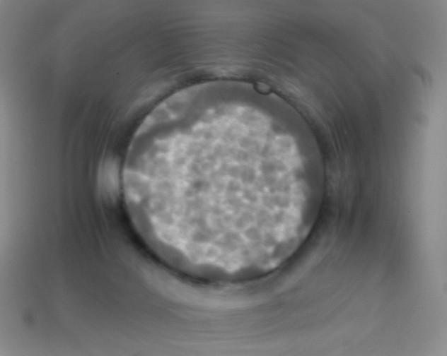 X0000113250028200910221130