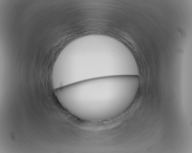 X0000113250029200910221130