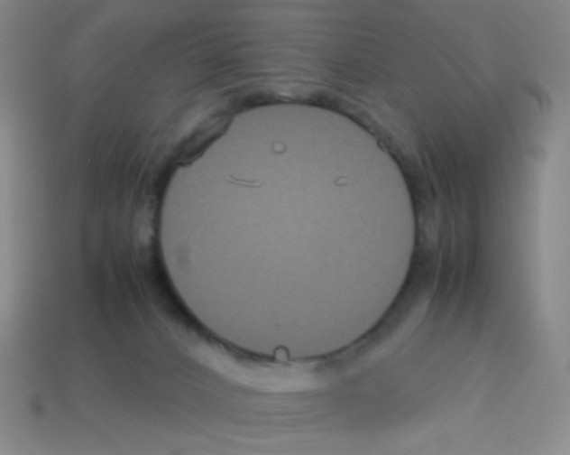 X0000113250032200910221130