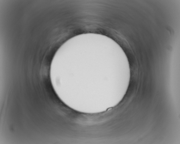 X0000113250033200910221130