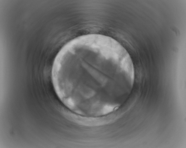 X0000113250034200910221130