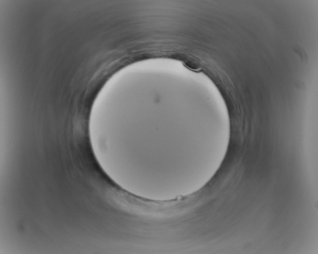 X0000113250035200910221130