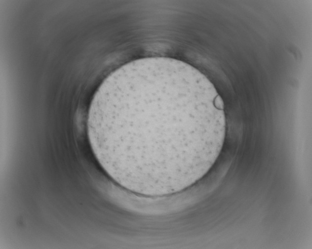 X0000113250038200910221130