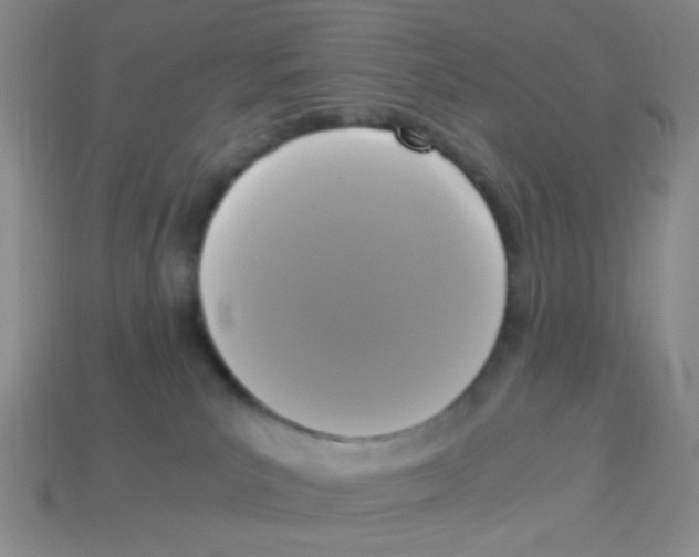 X0000113250039200910221130