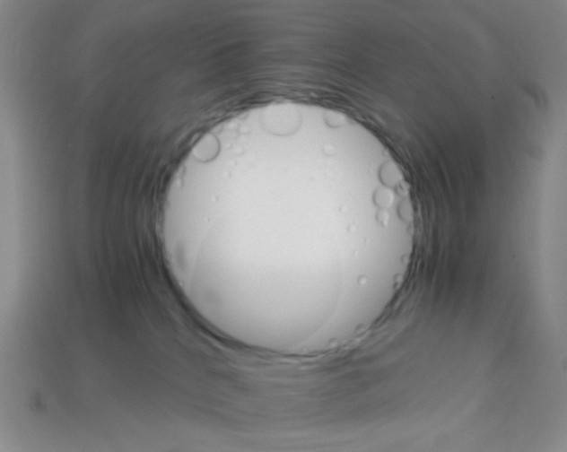 X0000113250040200910221130