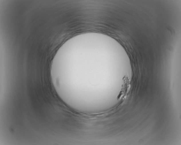 X0000113250041200910221130