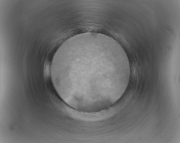 X0000113250042200910221130