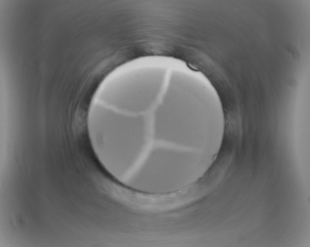 X0000113250043200910221130