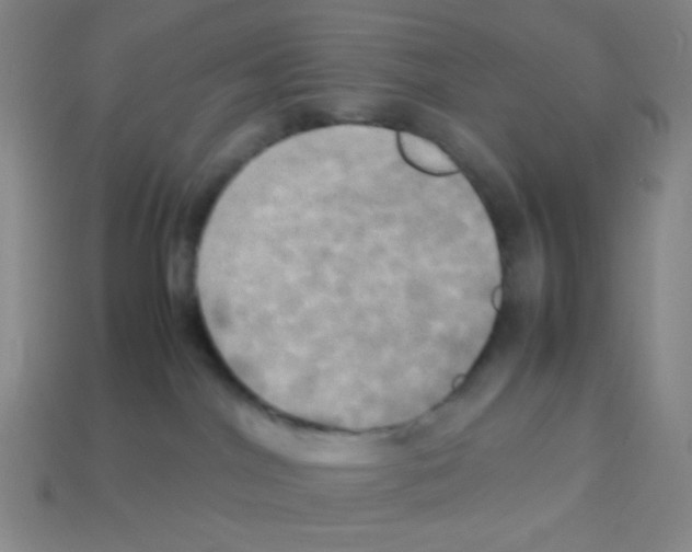 X0000113250044200910221130