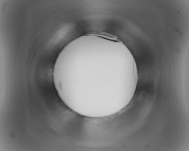 X0000113250045200910221130