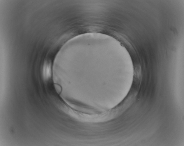 X0000113250046200910221130