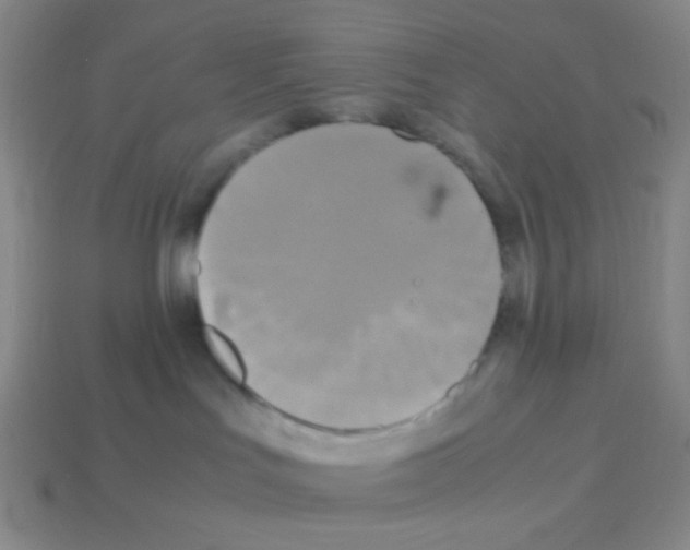 X0000113250047200910221130