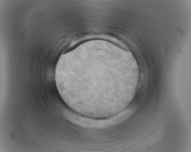 X0000113250048200910221130