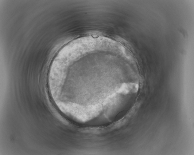 X0000113250049200910221129