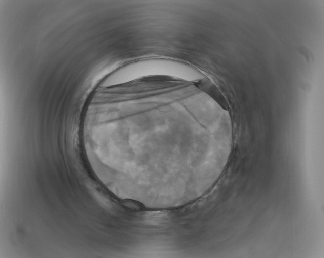 X0000113250050200910221129